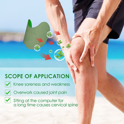 Argy Wormwood Knee Plaster Self-heating Analgesic Skin care lotion Exercise Fitness Joint Care