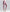 Thin Slim Fit Yoga Pants