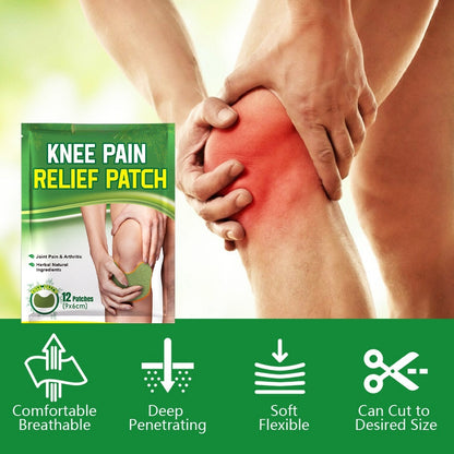 Argy Wormwood Knee Plaster Self-heating Analgesic Skin care lotion Exercise Fitness Joint Care